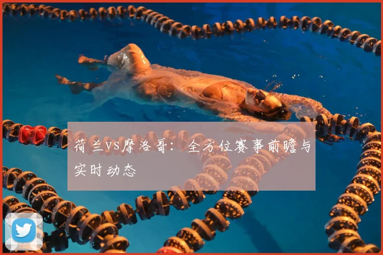 荷兰vs摩洛哥：全方位赛事前瞻与实时动态